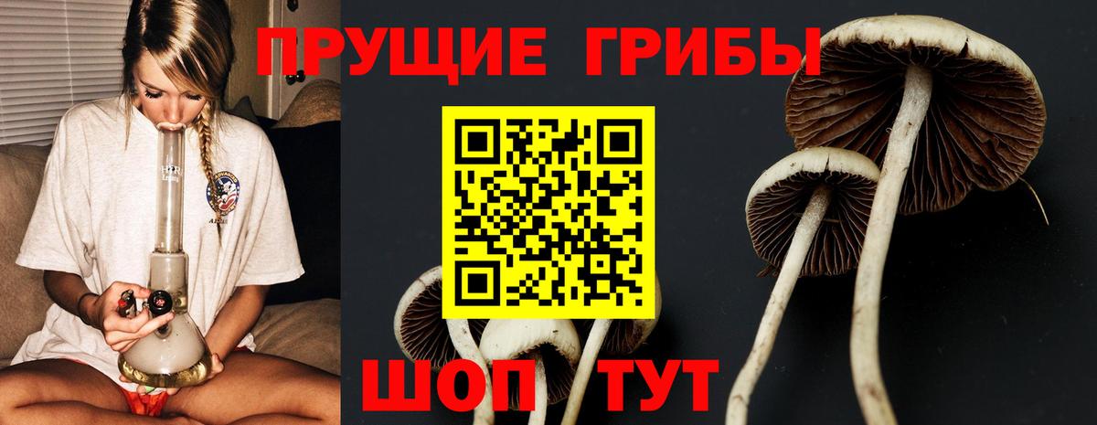 цена наркотик  Вход с VPN  Искитим  Псилоцибиновые грибы прущие грибы 